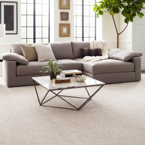 Living Room Carpet | Christian Brothers Flooring & Interiors.